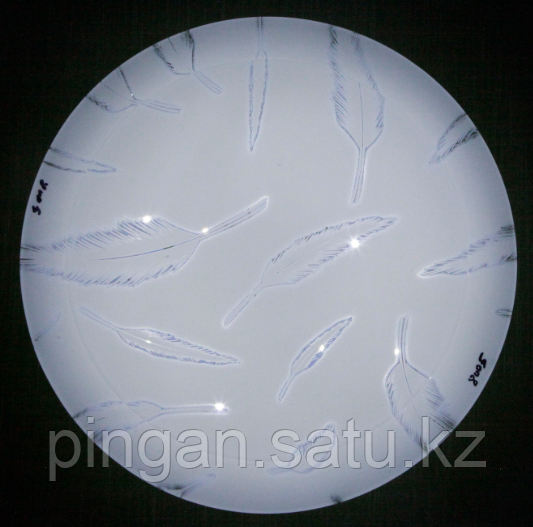 Потолочный светильник NURSHAQ 8005-10W